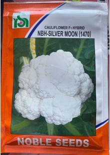 Noble NBH–Silver Moon (1470) Cauliflower